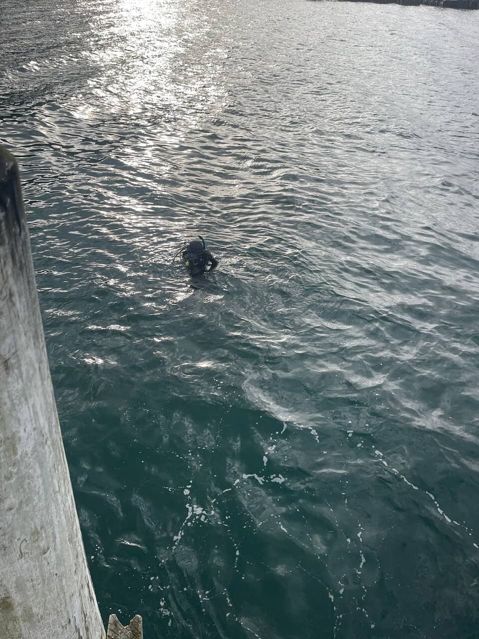 Adventure Playground