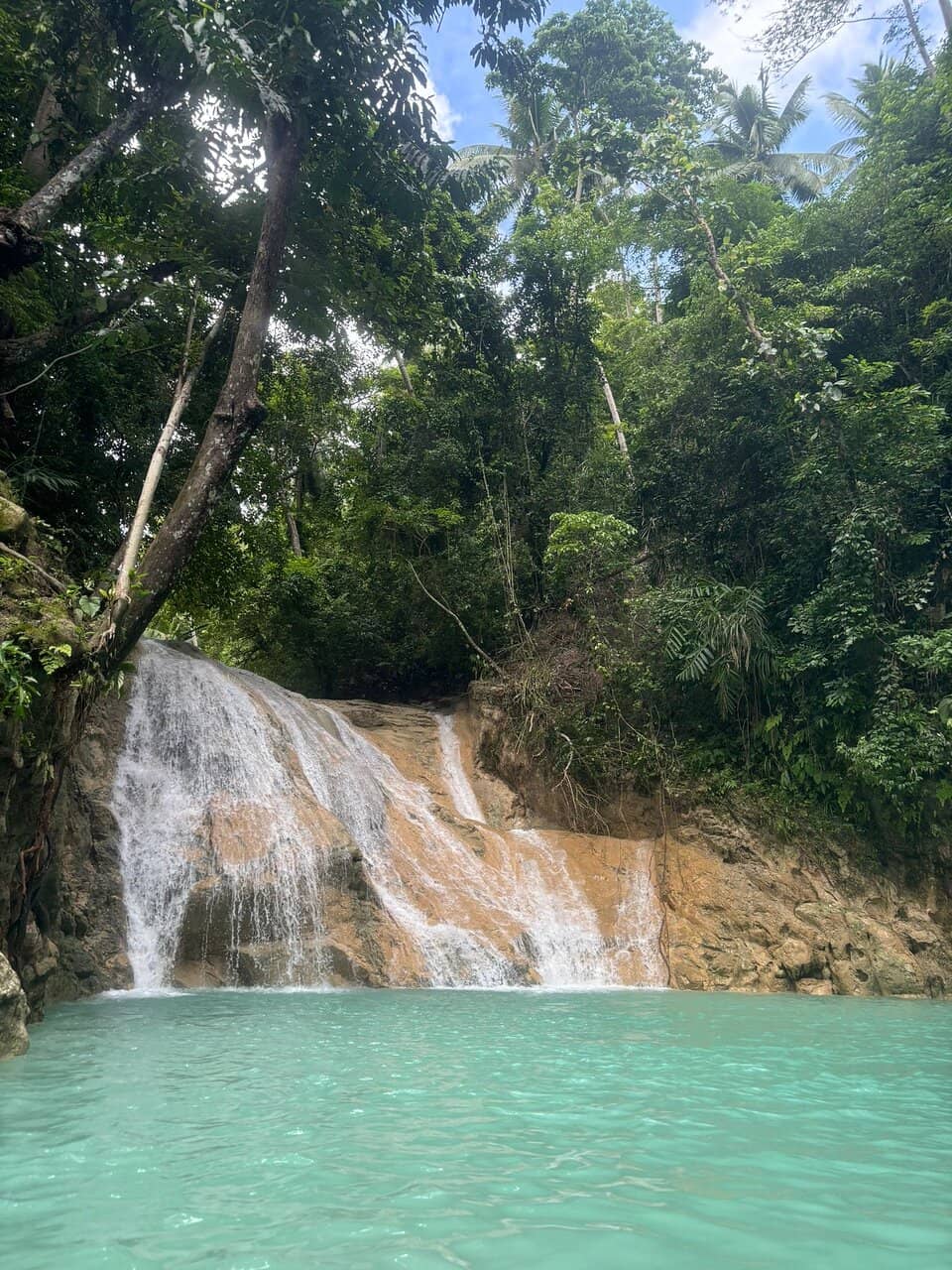 Vertical photo
