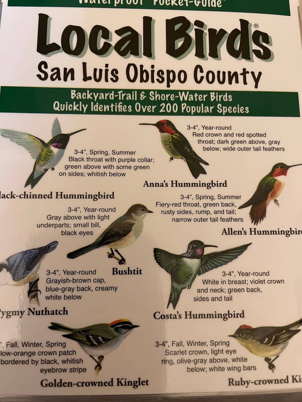 Stunning Morro Rock Views