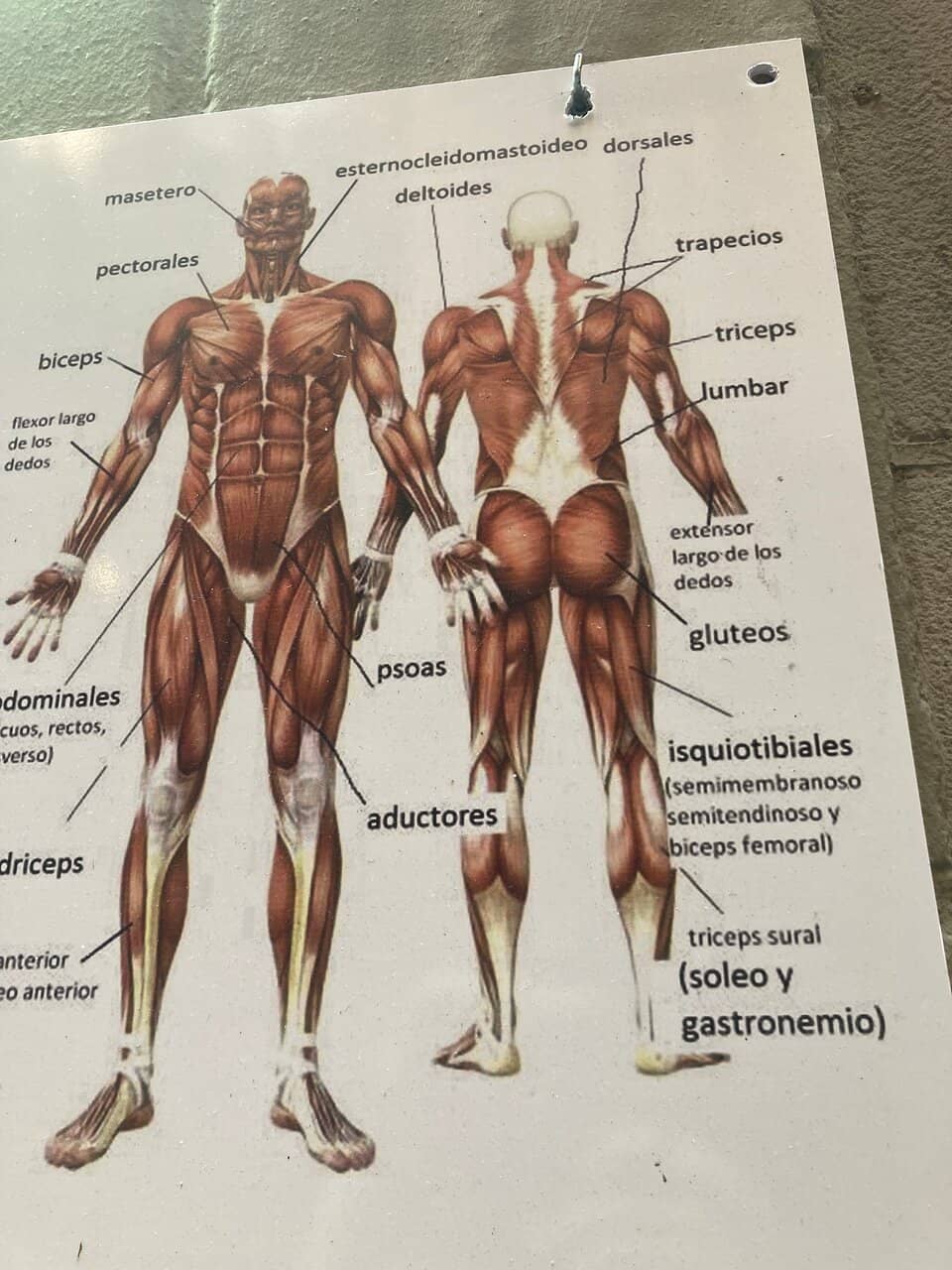 OXXO SMART Grab & Go