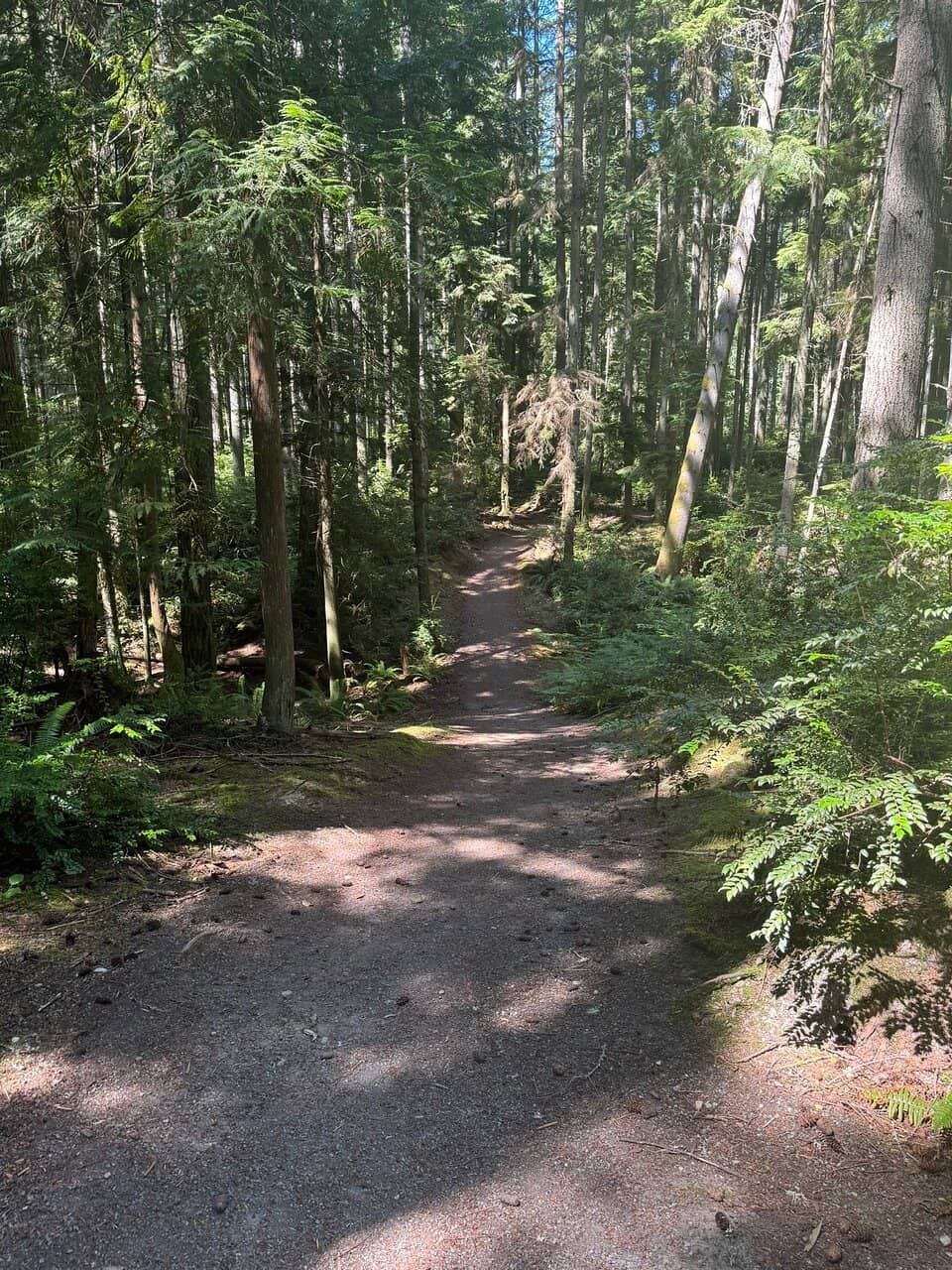 Secluded Beach Access
