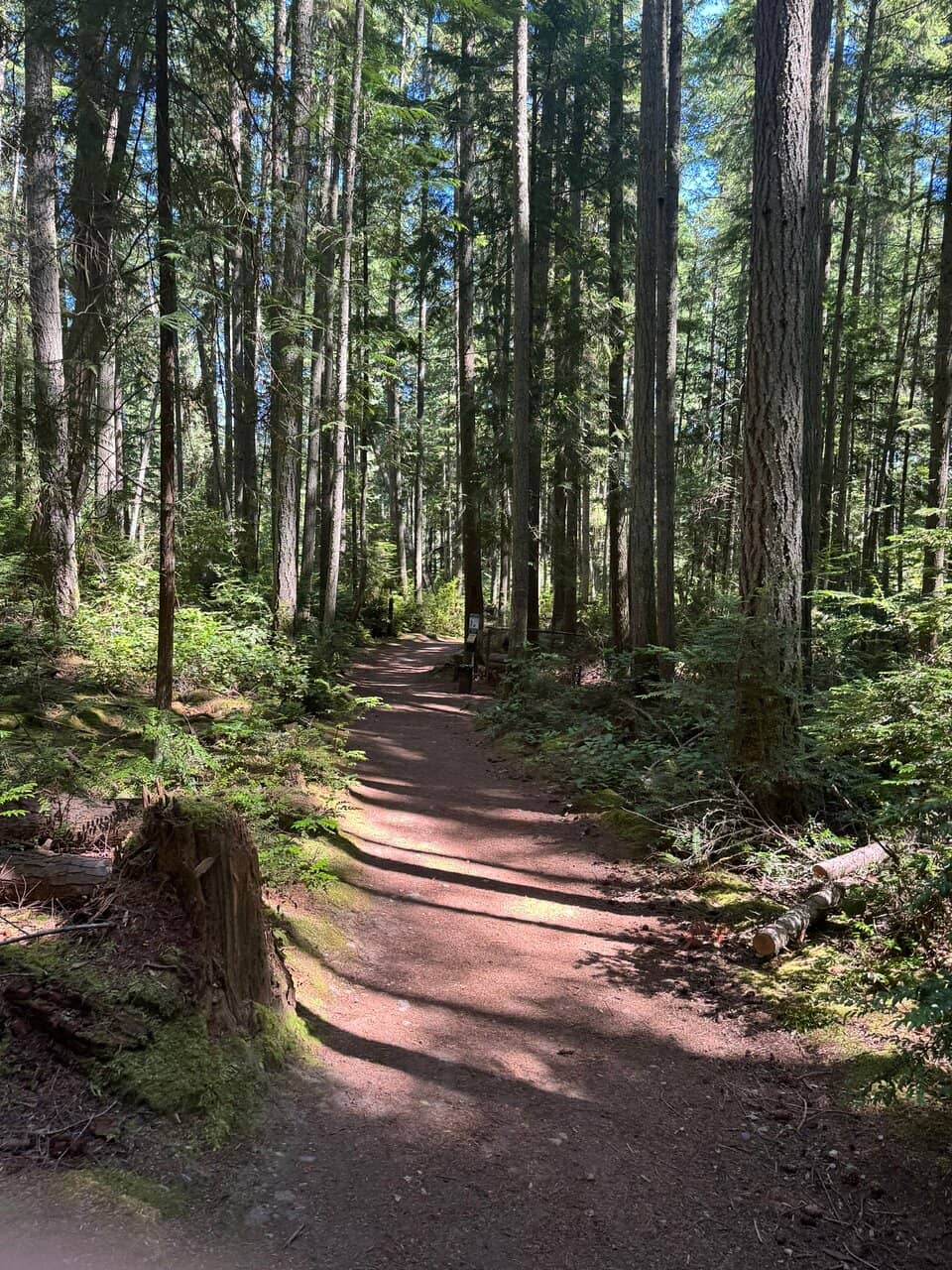 Admiralty Inlet Overlooks