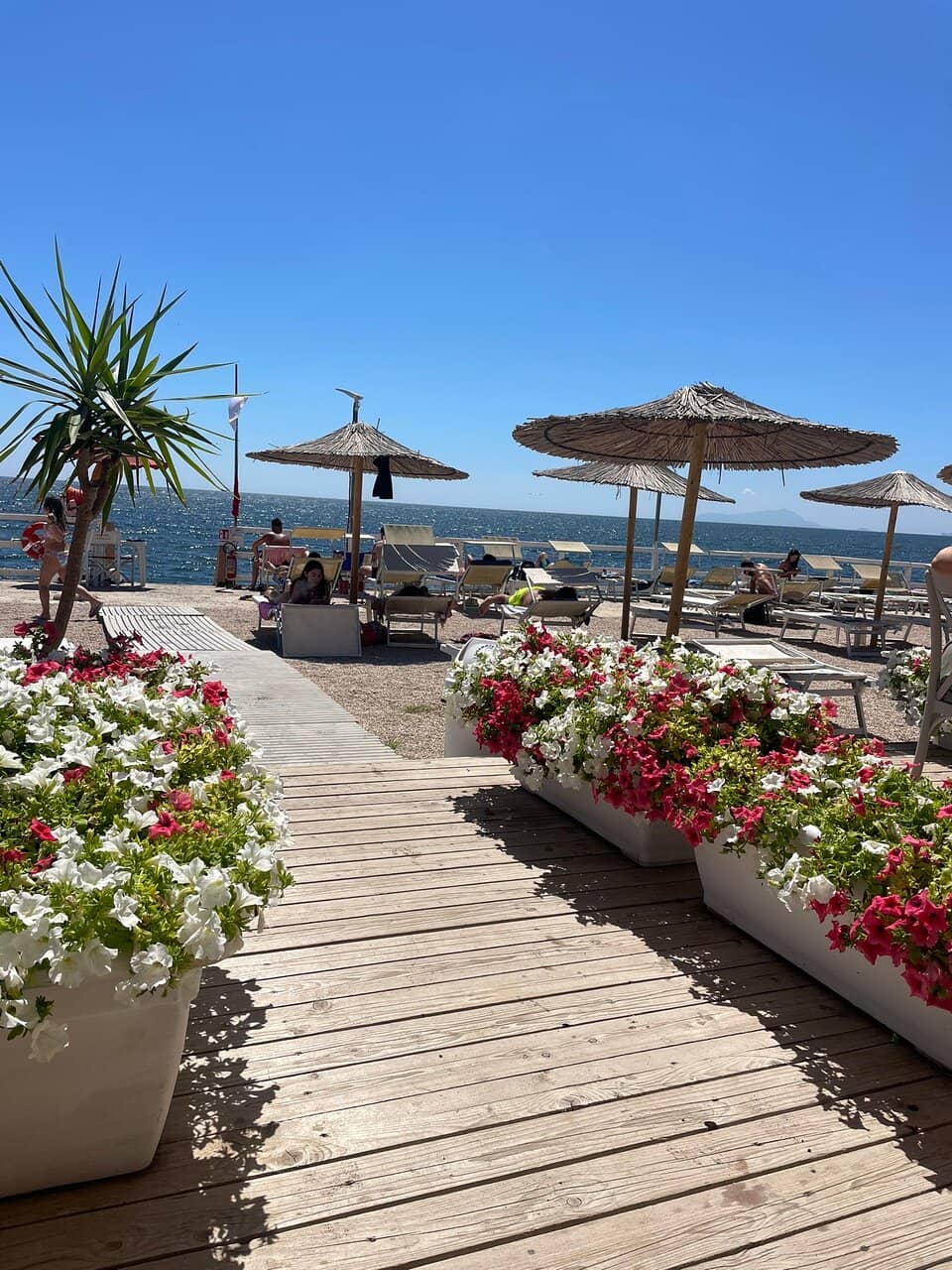 Expansive White Sands