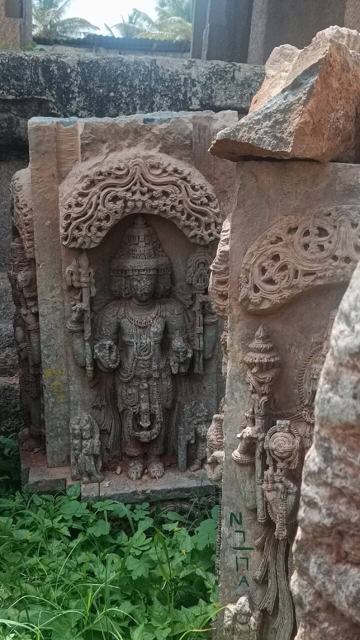 Vertical photo