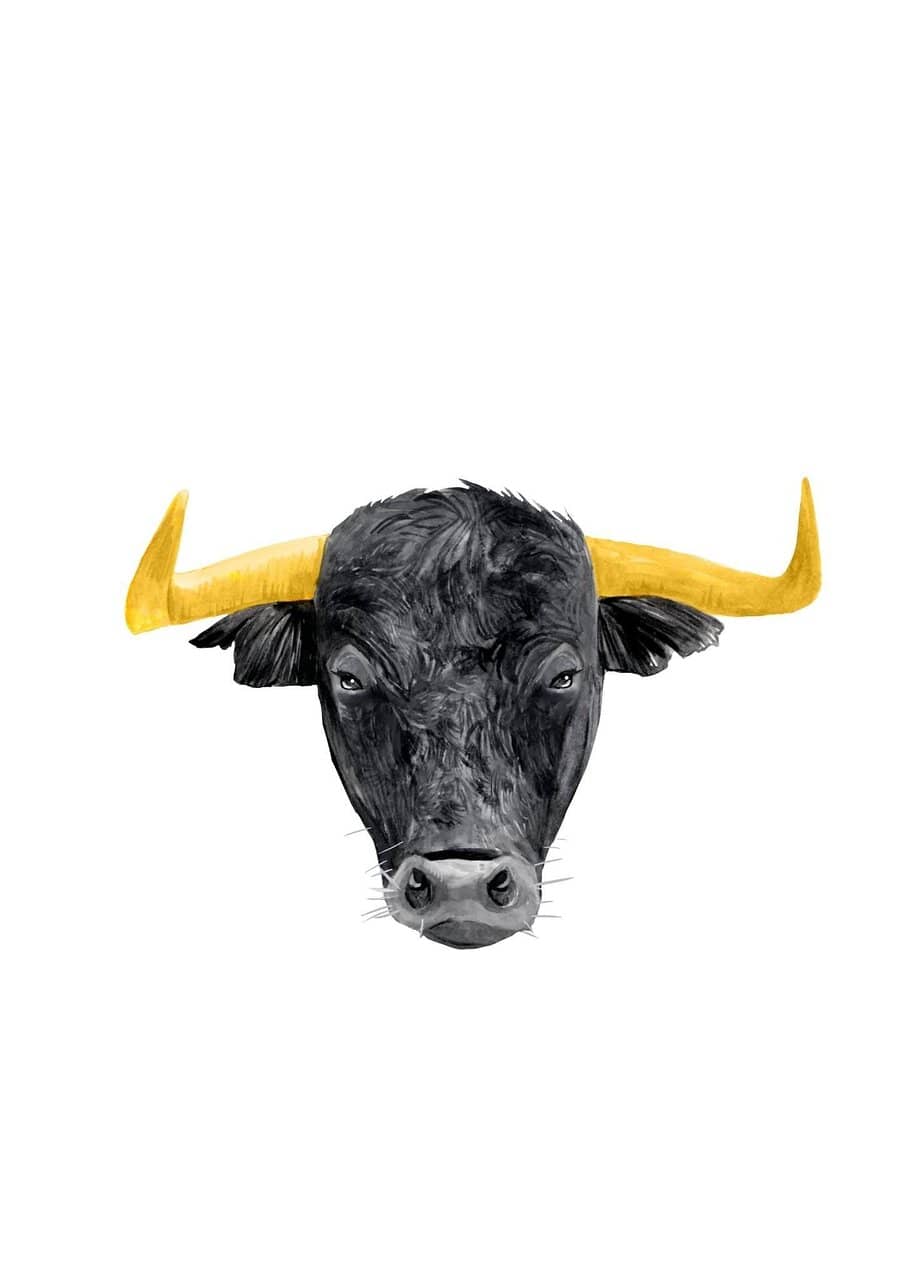 Exceptional Staff Service