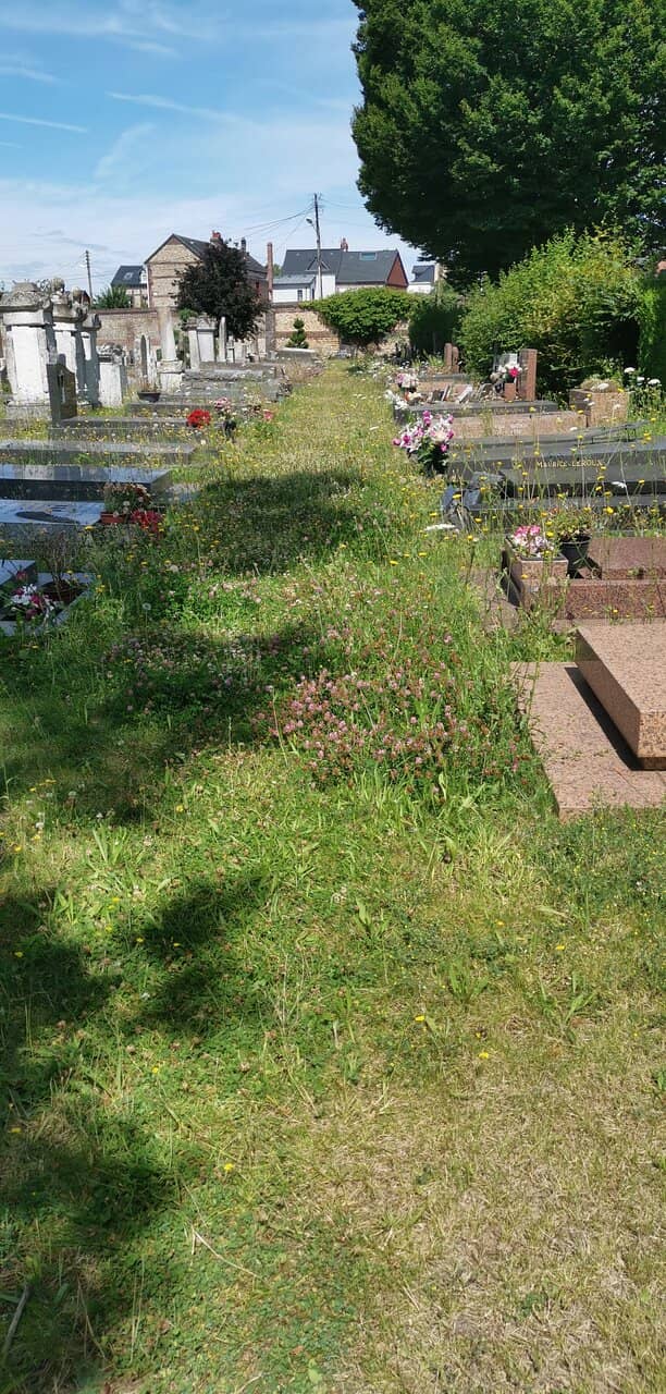 Panoramic Rouen Views