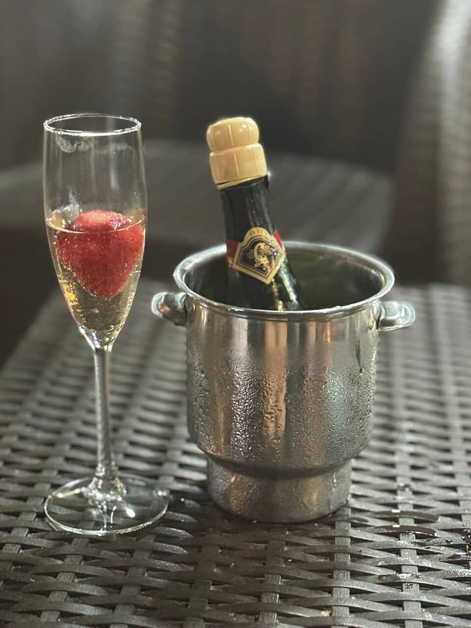 Live Music & Performances