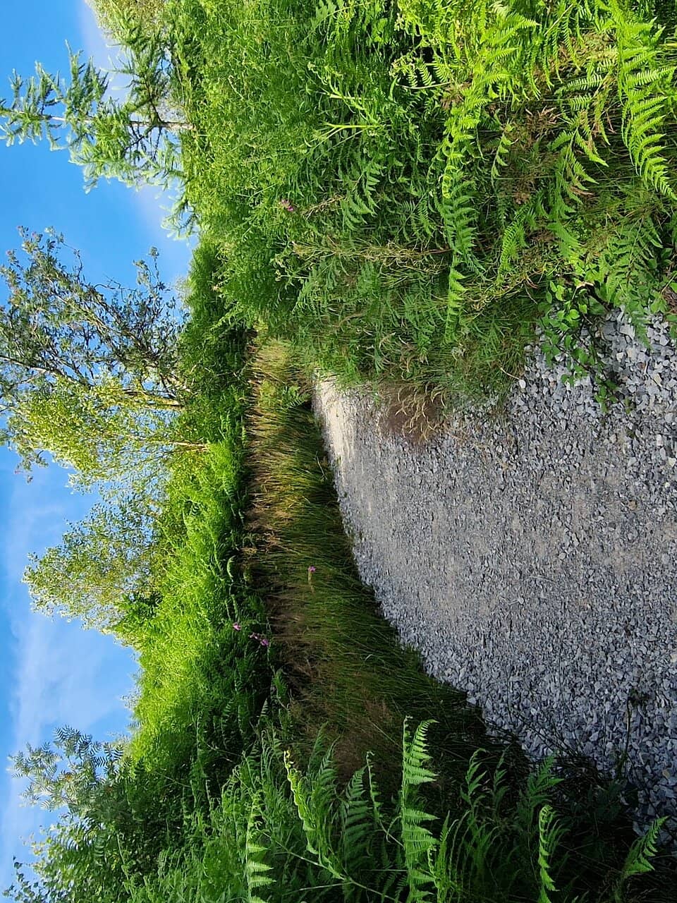 Sgwd Gwladus (Lady Falls)