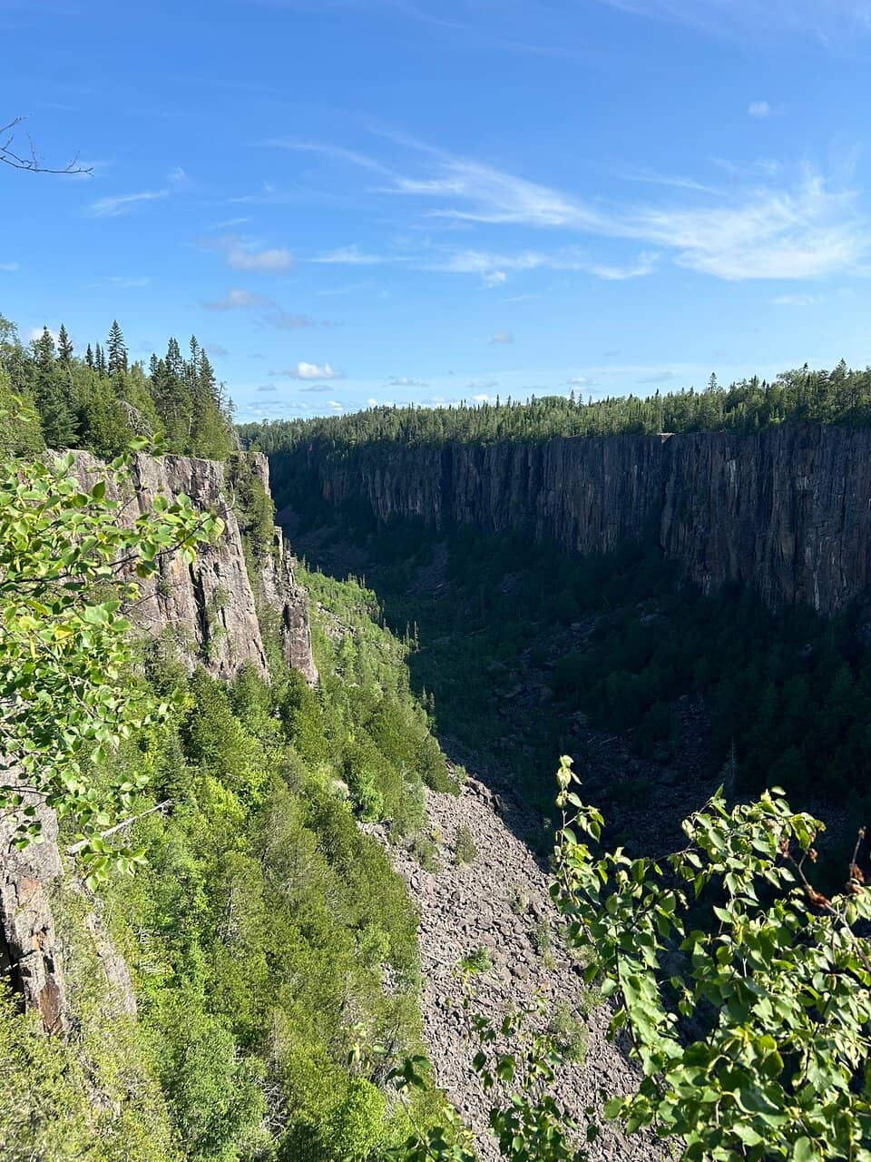 Suspension Bridge Views