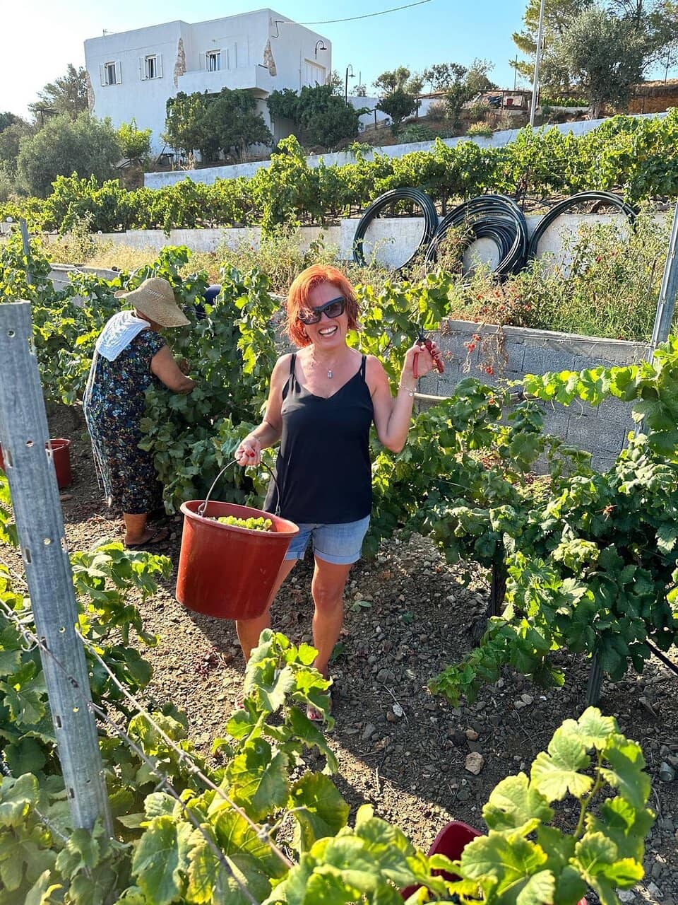 Exceptional Santorini Wines