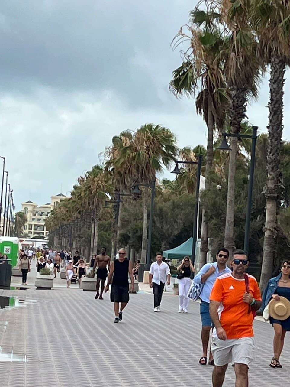 Beach Volleyball Haven