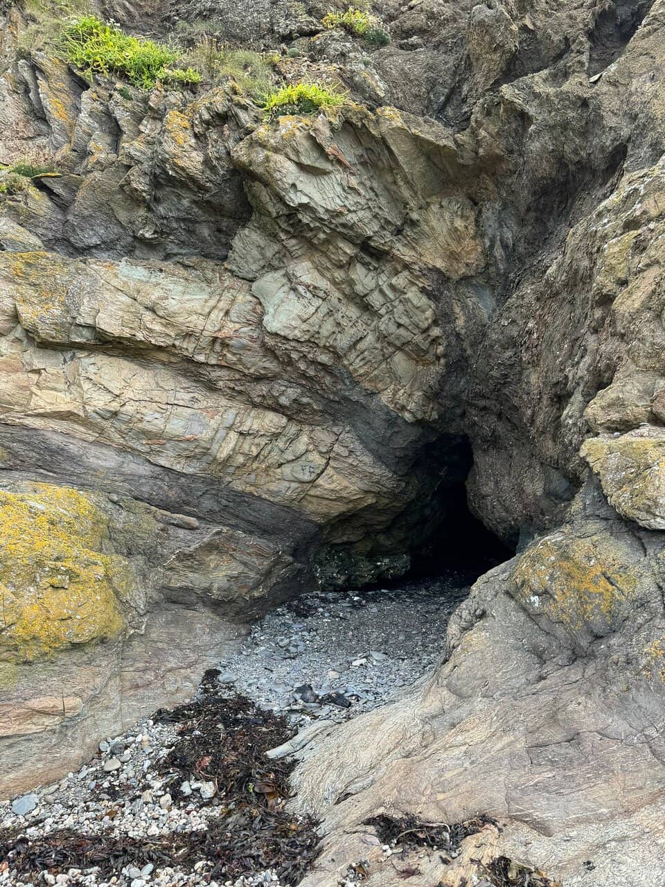 Vertical photo