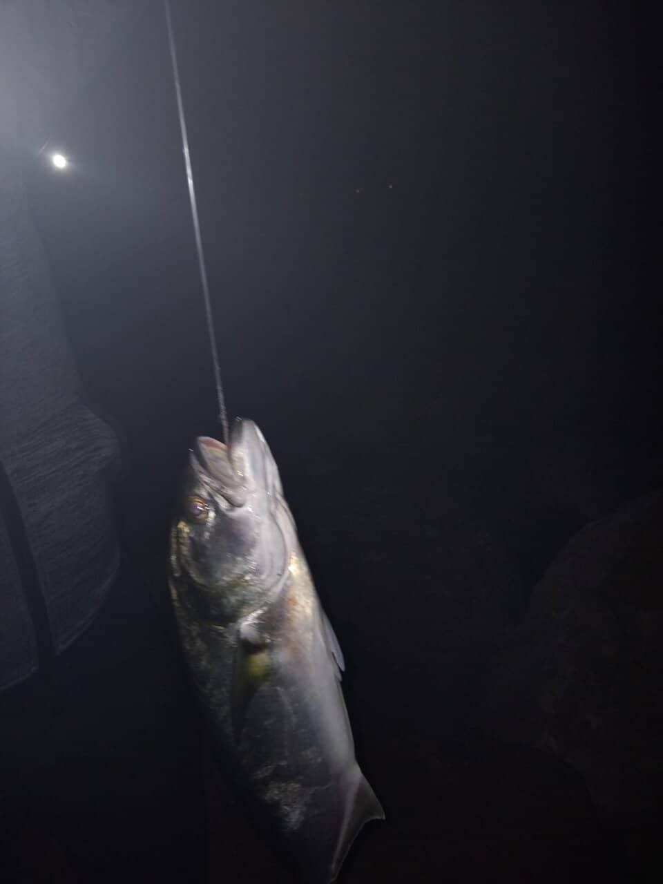 Pinedo Beach Arrocería & Lounge