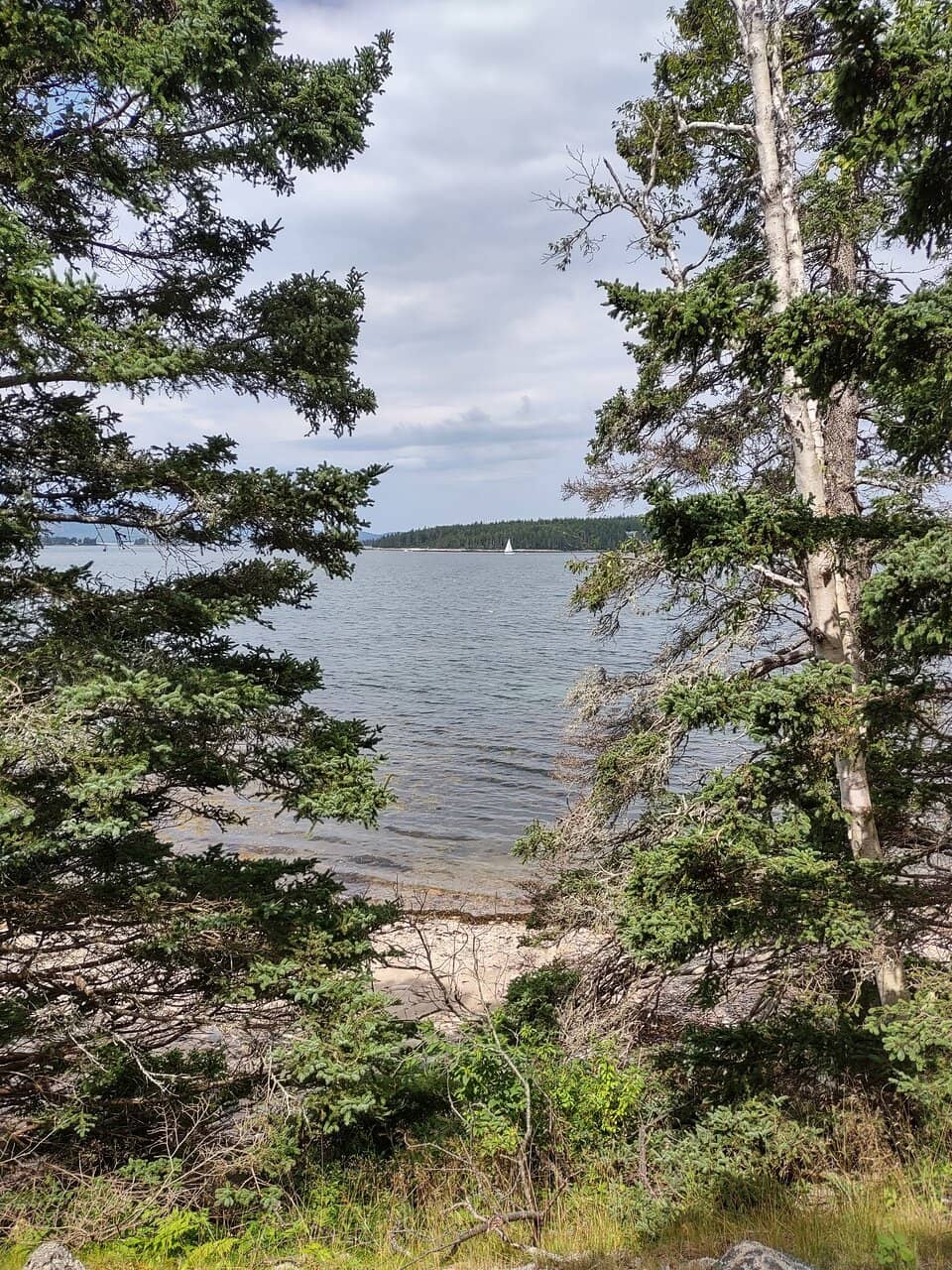 Coastal Vistas