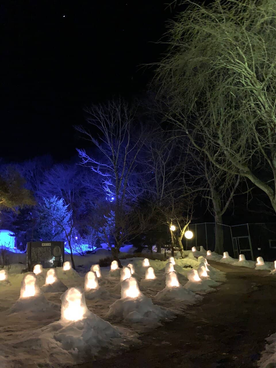 Delicious Japanese Cuisine