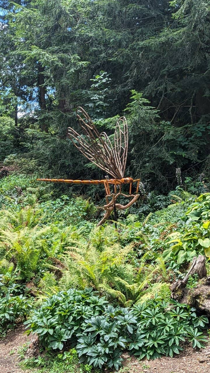 Storybook Woods