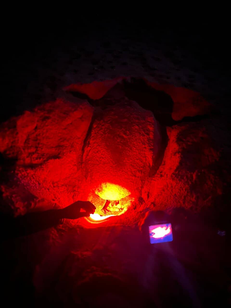 Conservation Information Center