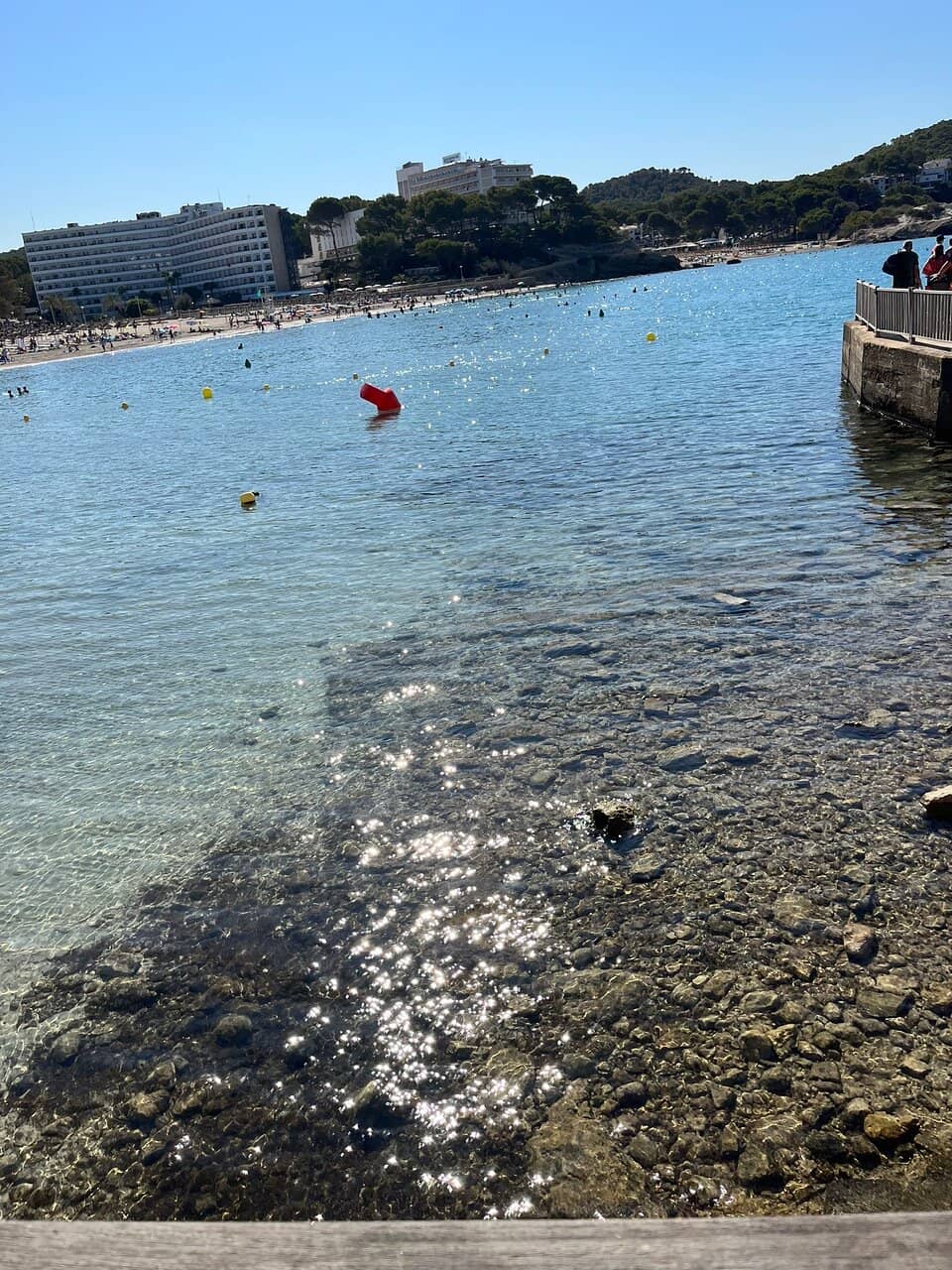 Vertical photo