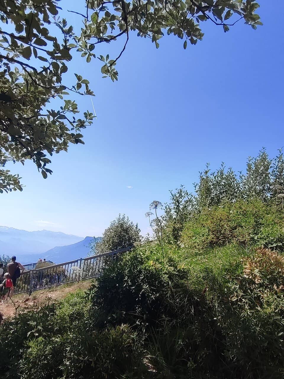 Panoramic Alpine Vistas