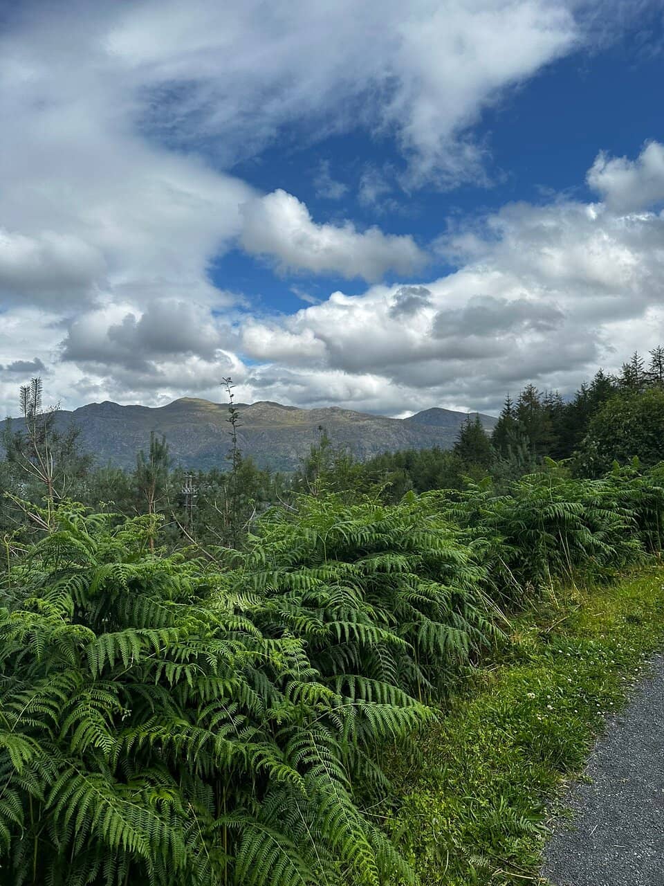 Loch Maree Overlook