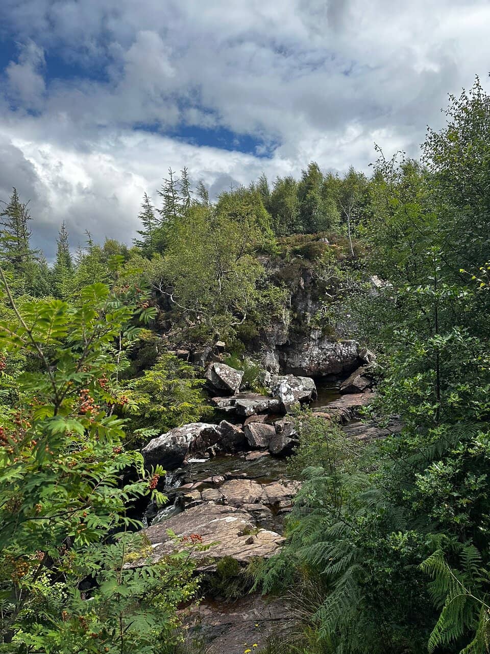 Highlights