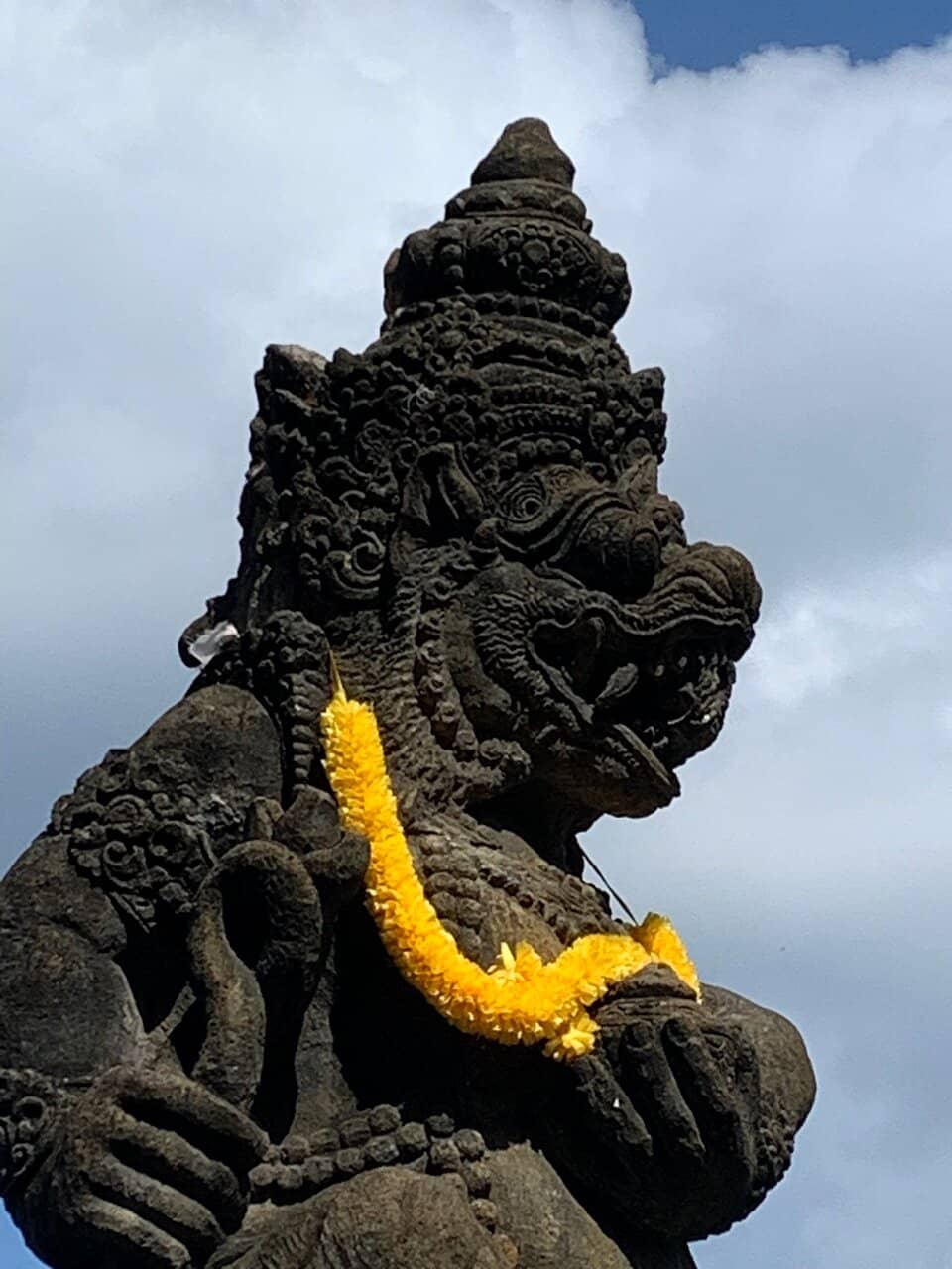 Local Market & Shops