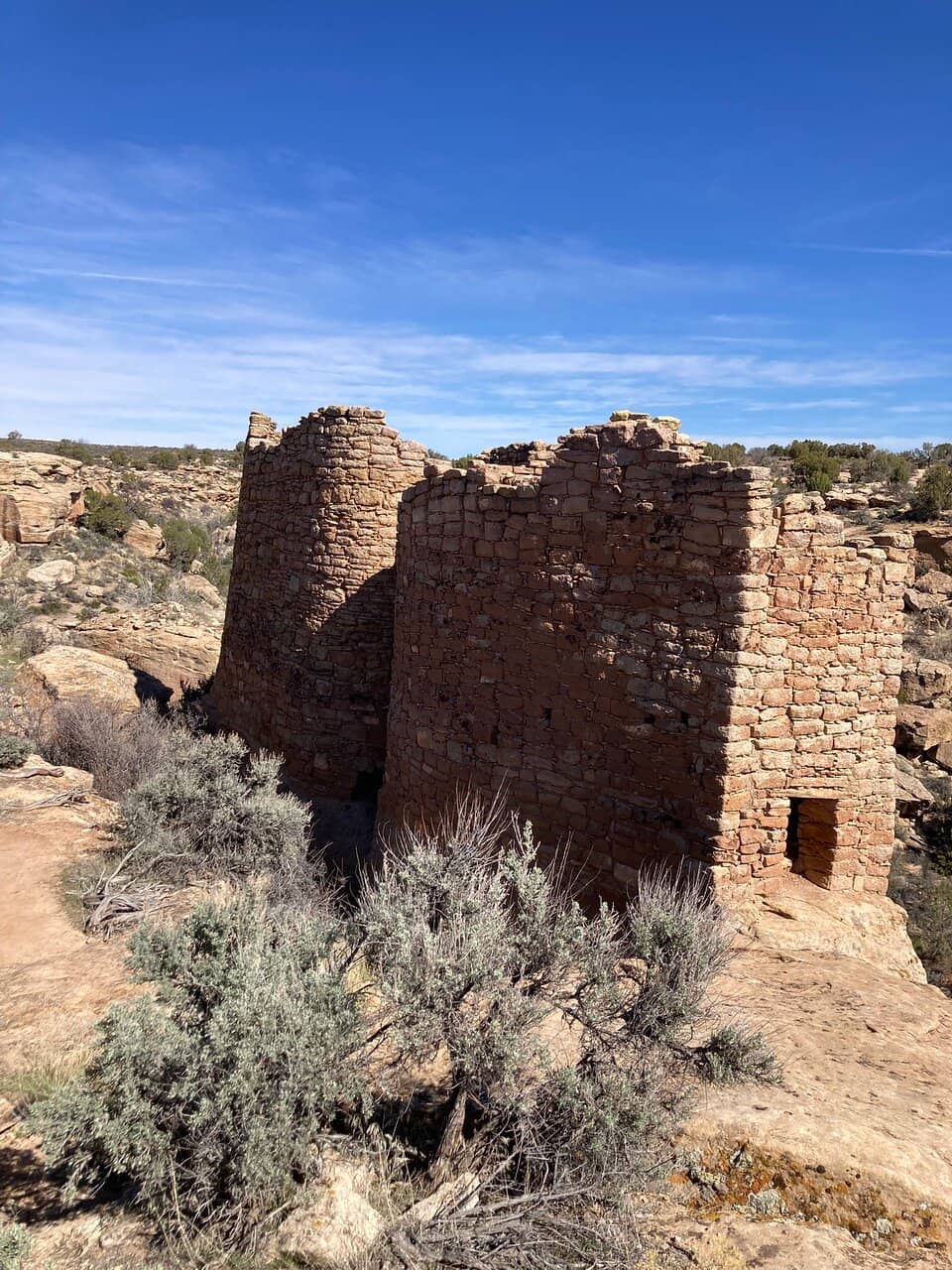 The Canyon Rim Trail