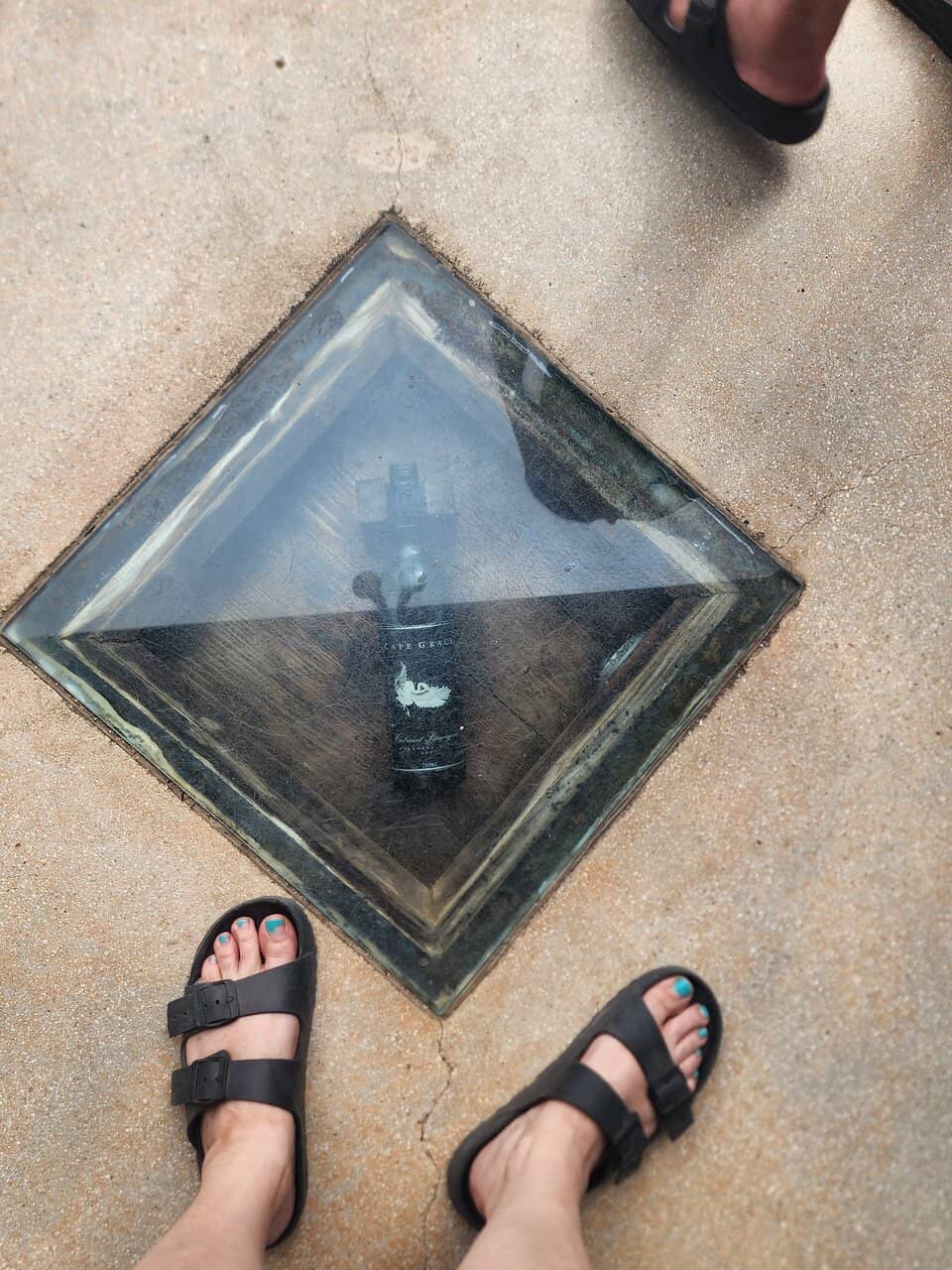 Delicious Food Offerings