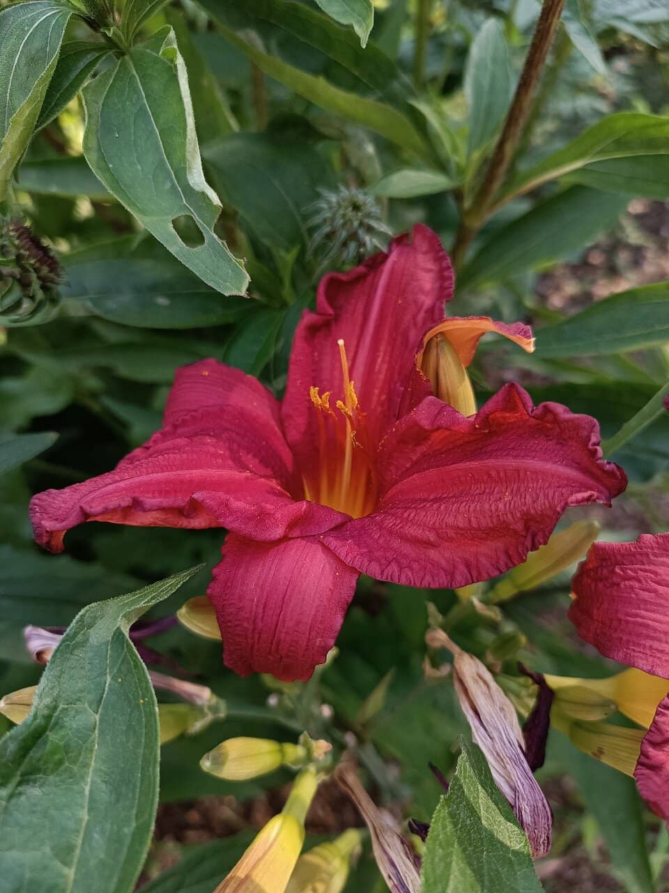 Picnic Spots with a View