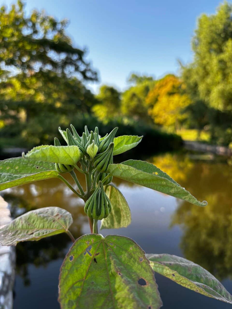 Farmers Market & Events