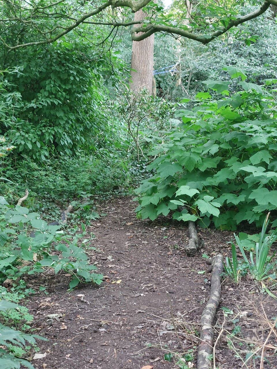Tranquil Walled Gardens