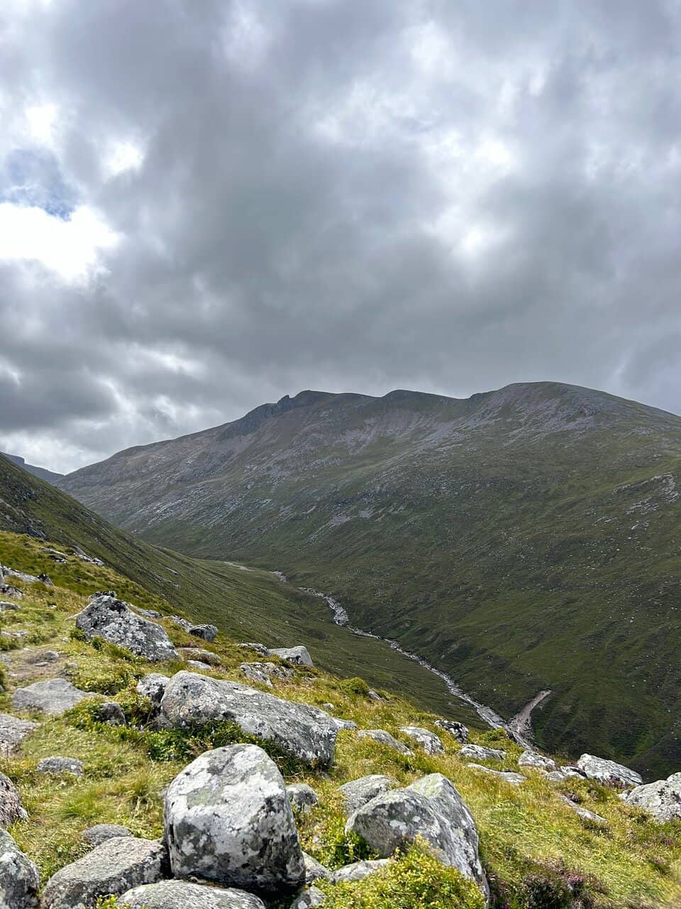 Mountain Biking Trails