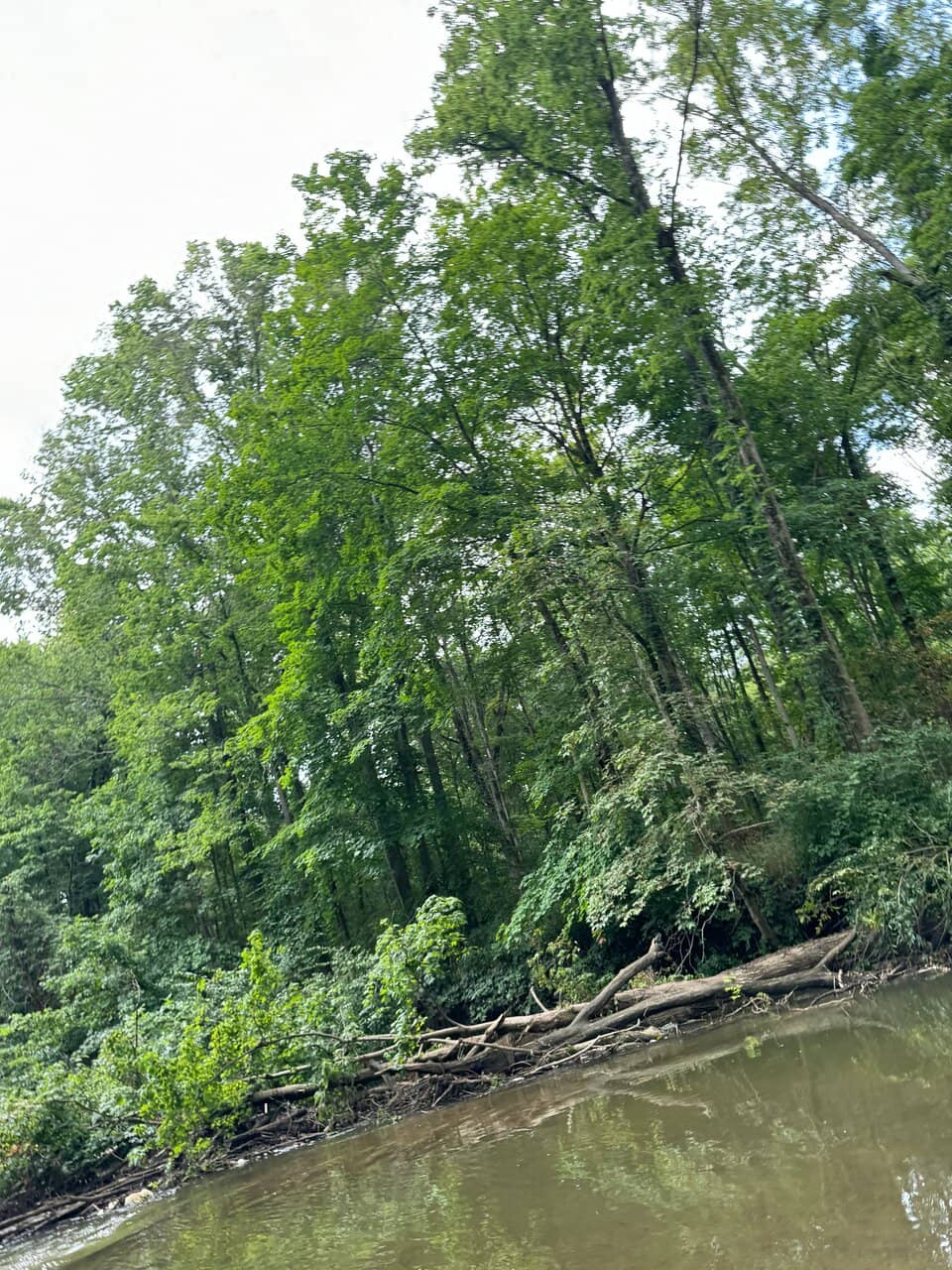 Schoen Creek Trail