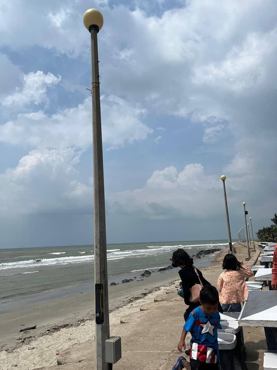 Abundant Marine Life