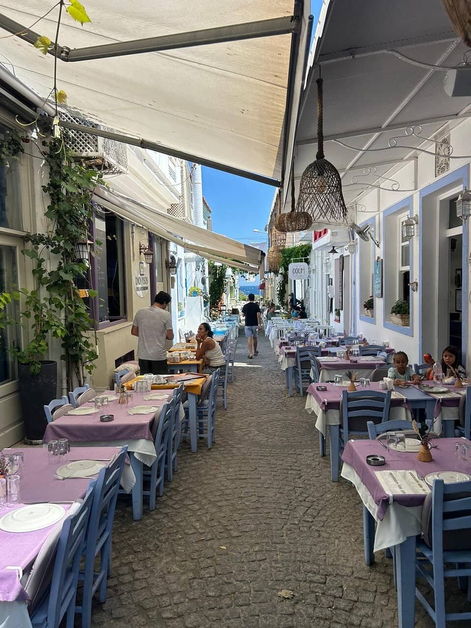 Gallipoli Campaign Memorabilia