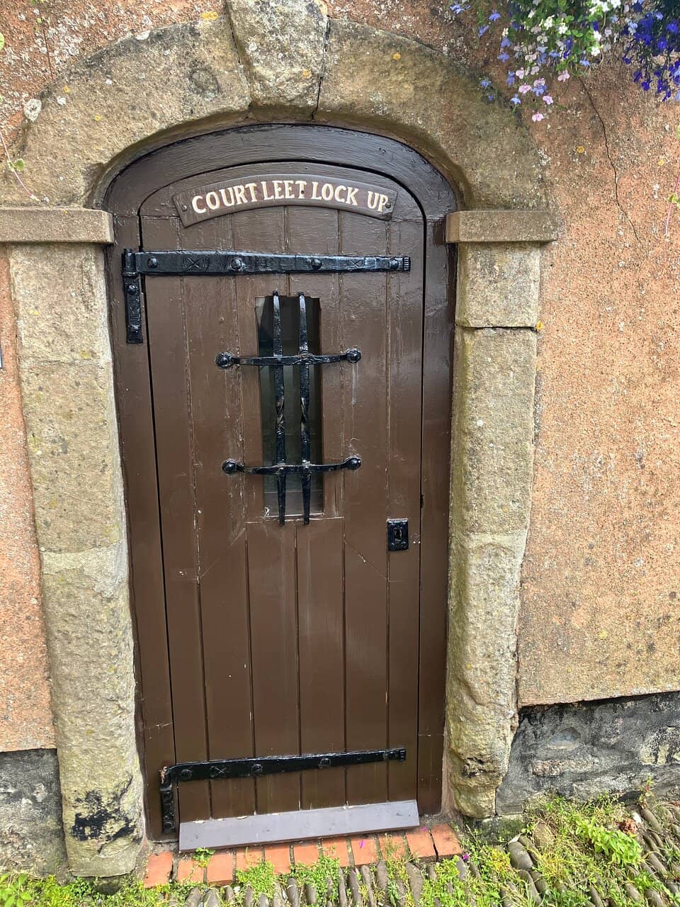 Local Industry Insights