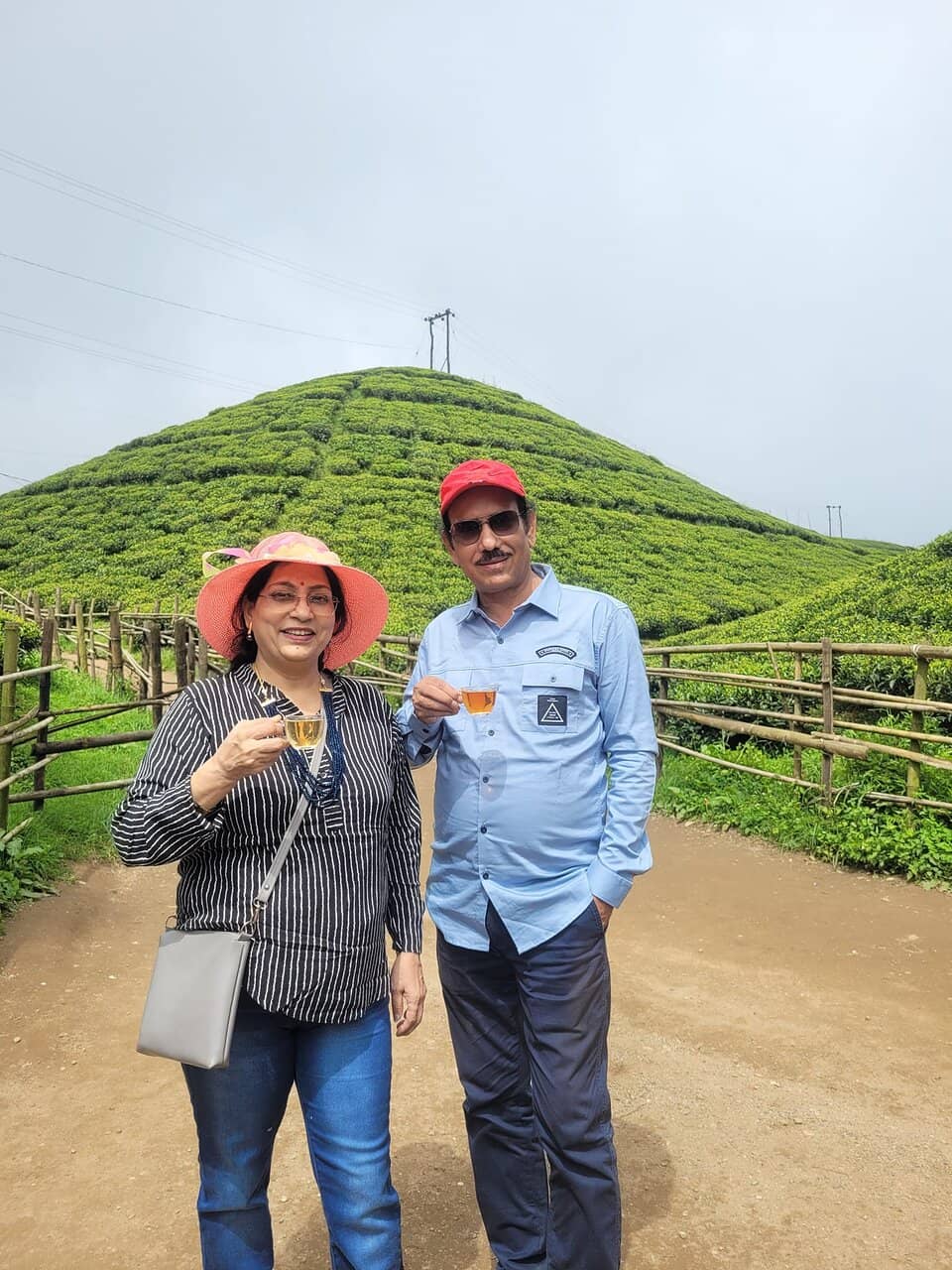 Authentic Darjeeling Tea Tasting
