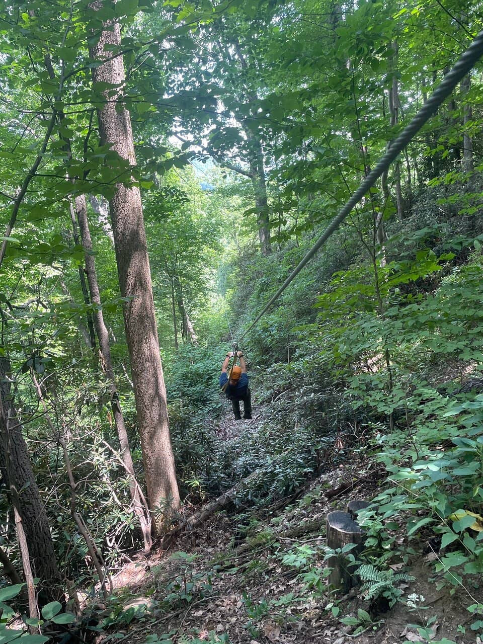 Scenic Gorge Views