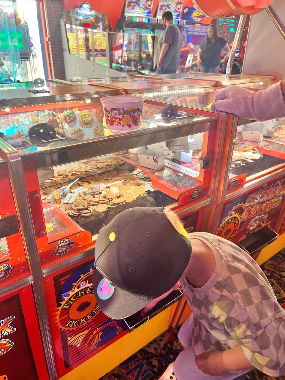 Unique Dune Ecosystem