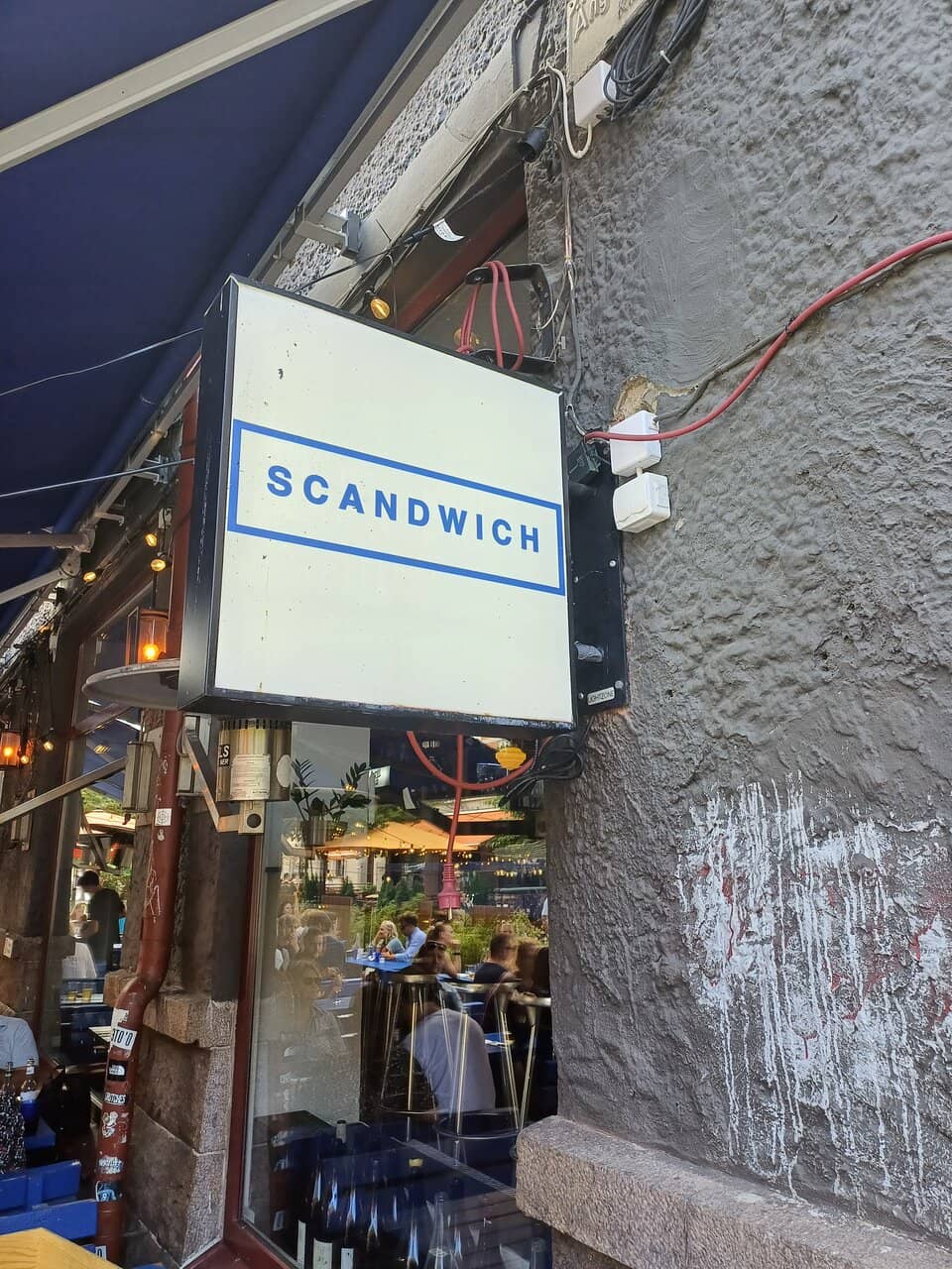 Vegan and Vegetarian Delights