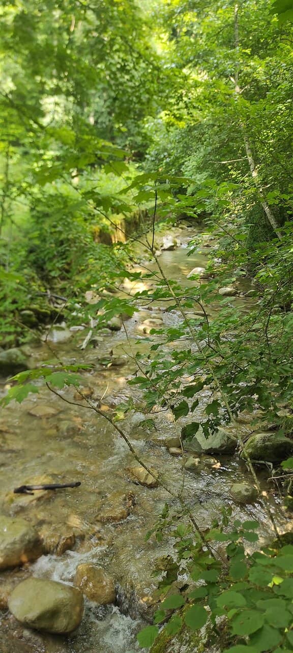 Crystal-Clear Stream