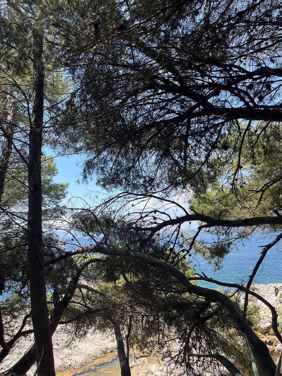 Vertical photo