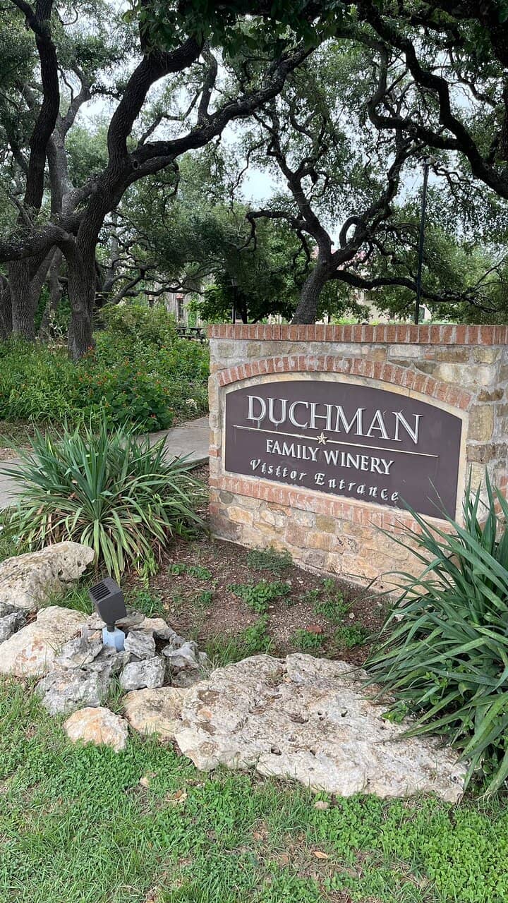 Scenic Oak Tree Ambiance