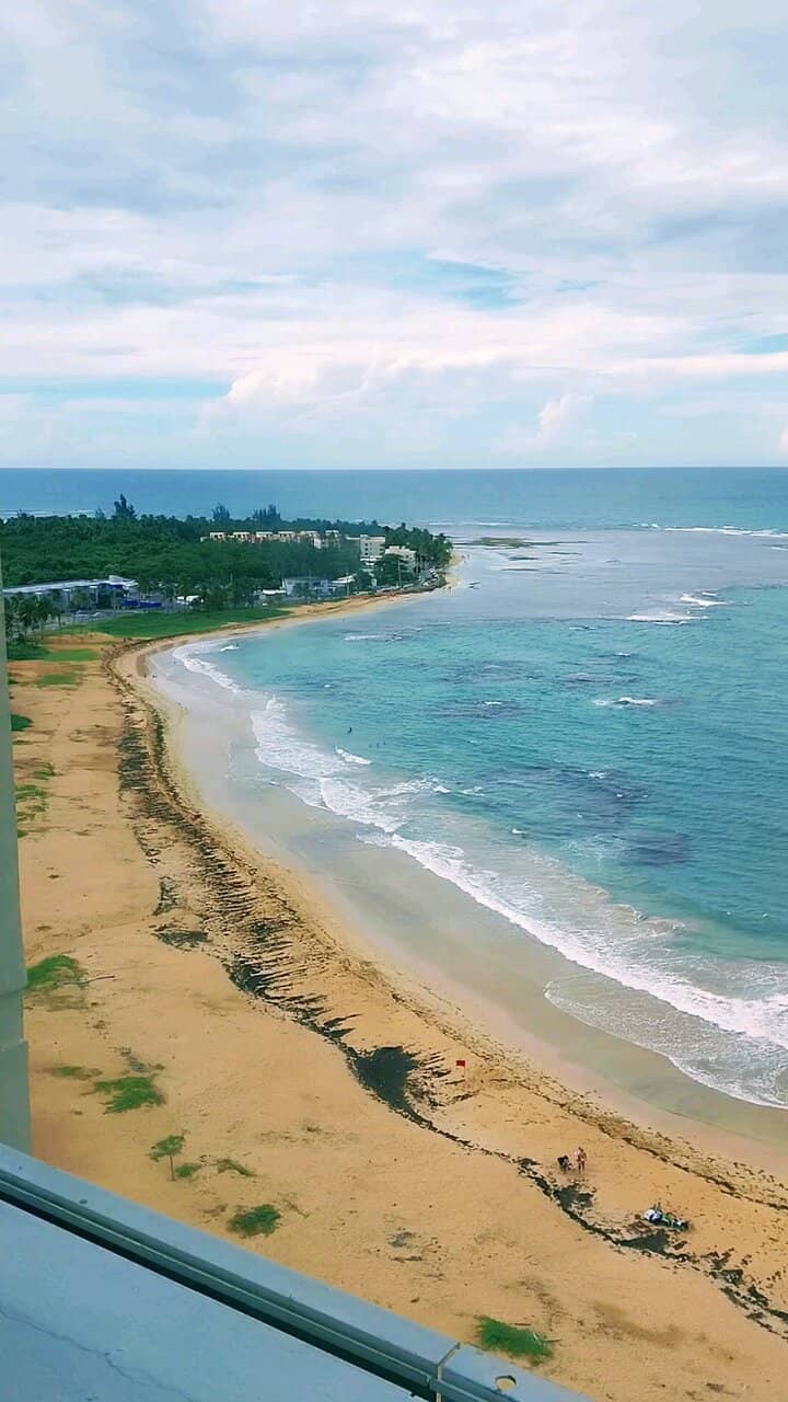 Vertical photo