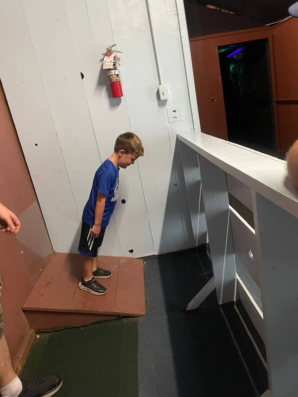 Dinosaur Skull Display