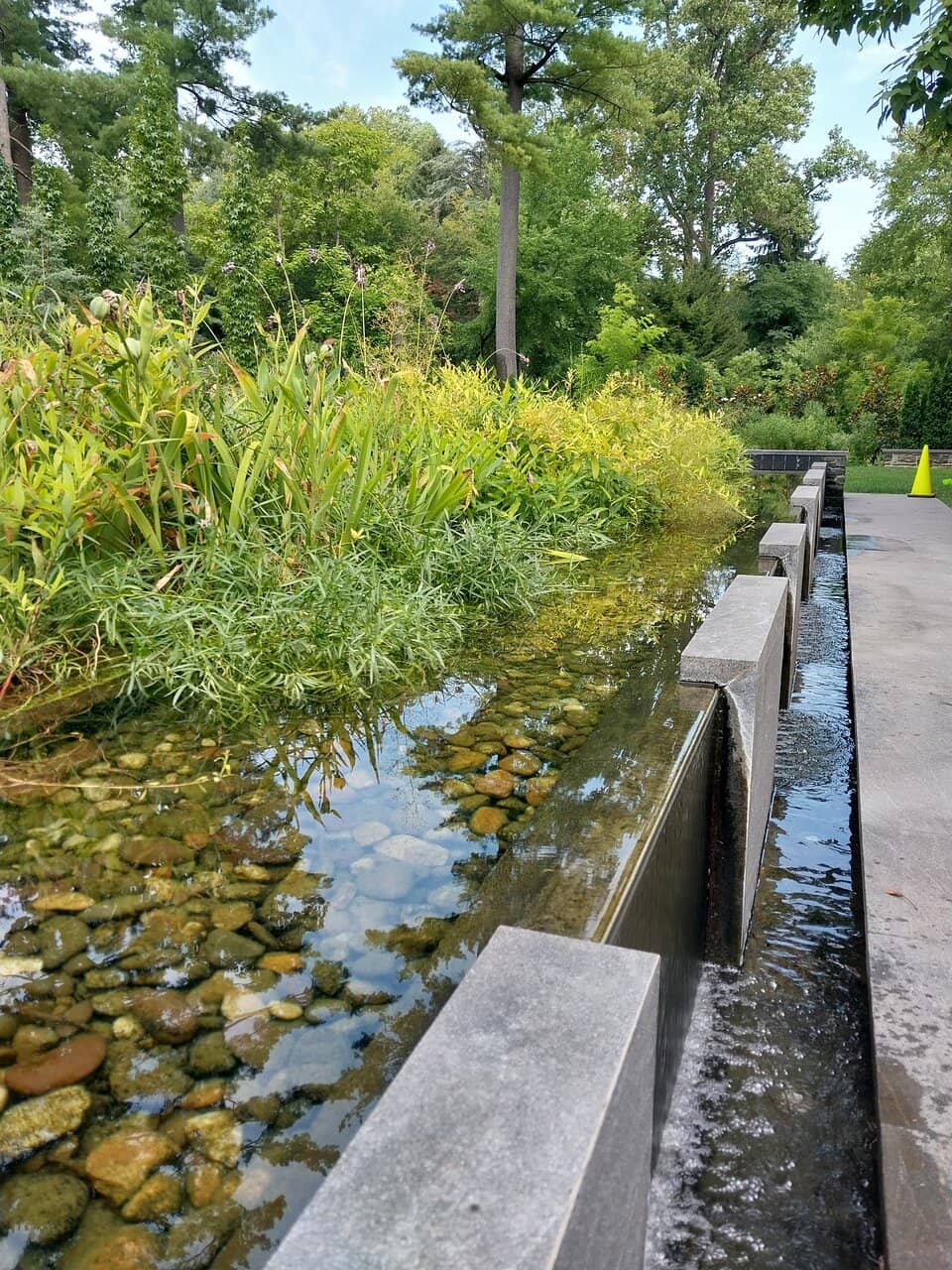 Native Plant Showcase