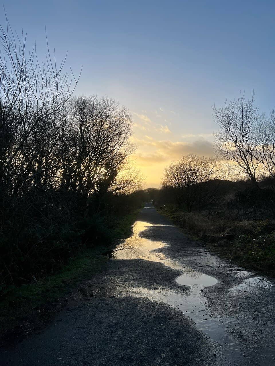 Adventure Playgrounds