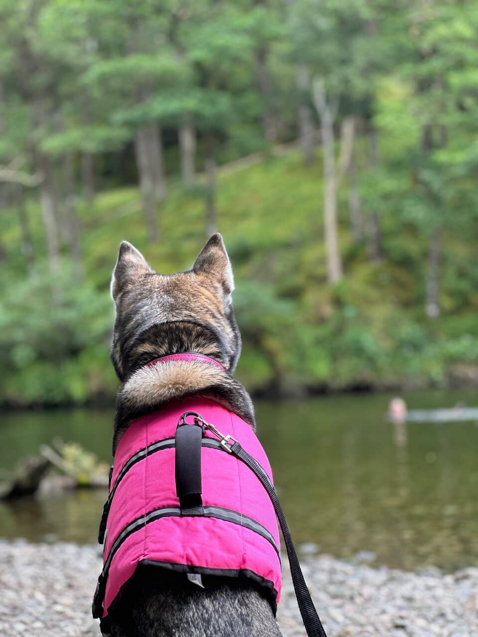 Borrowdale Valley Walk