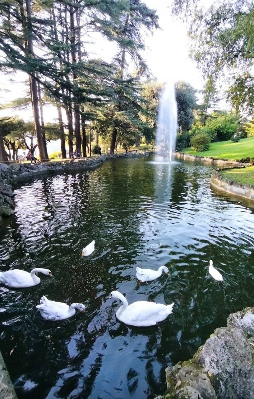 Exotic Gardens