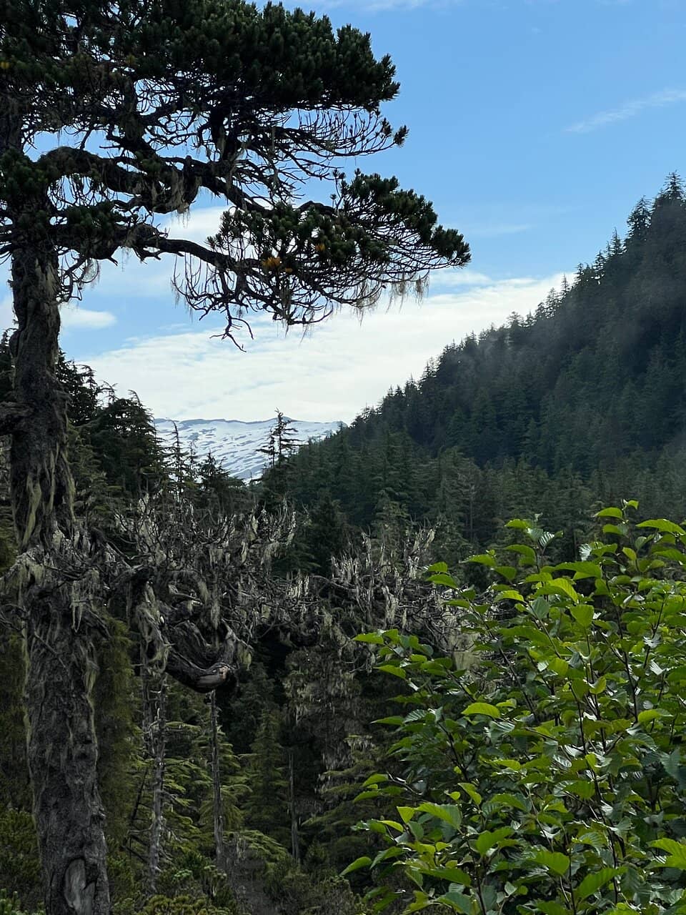 Beaver Lake